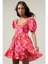 Sweetheart Pink and Red Floral Mini Dress