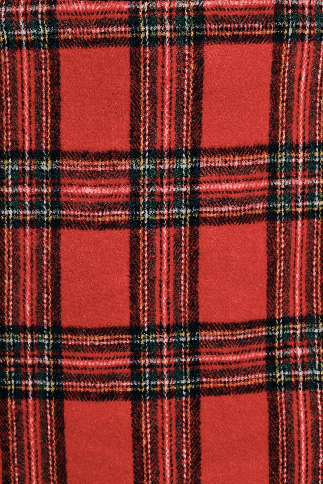 Plaid Mini Skirt - Red