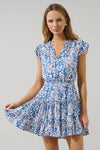 Toledo Floral Mini Dress - Blue