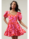 Sweetheart Pink and Red Floral Mini Dress