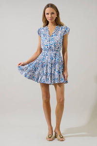 Toledo Floral Mini Dress - Blue