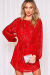 Sherri Sequin Dress