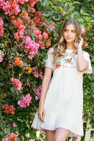 Embroidered Overlay Dress